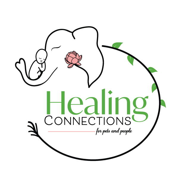 Healing Ki Connections